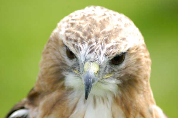 Easter Events Louth Lincolnshire