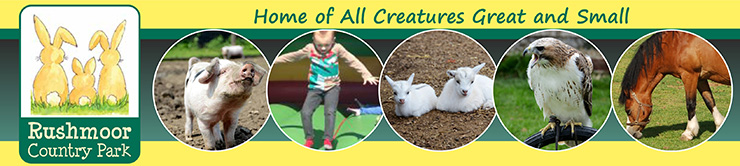 Rushmoor Country Park Louth, Rushmoor Animal Park Lincolnshire, childrens park Louth, children day out Lincolnshire, family attraction Lincolnshire, what to do children Lincolnshire, what to do for children Louth.