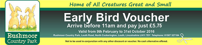 Early Bird Discont Voucher